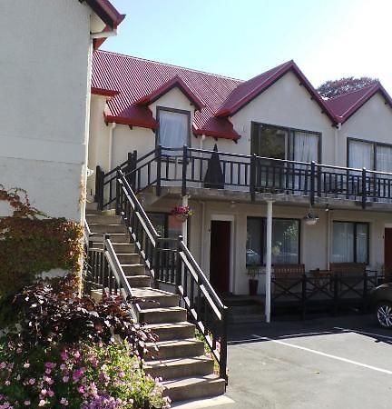 Owens Motel Dunedin Chambre photo